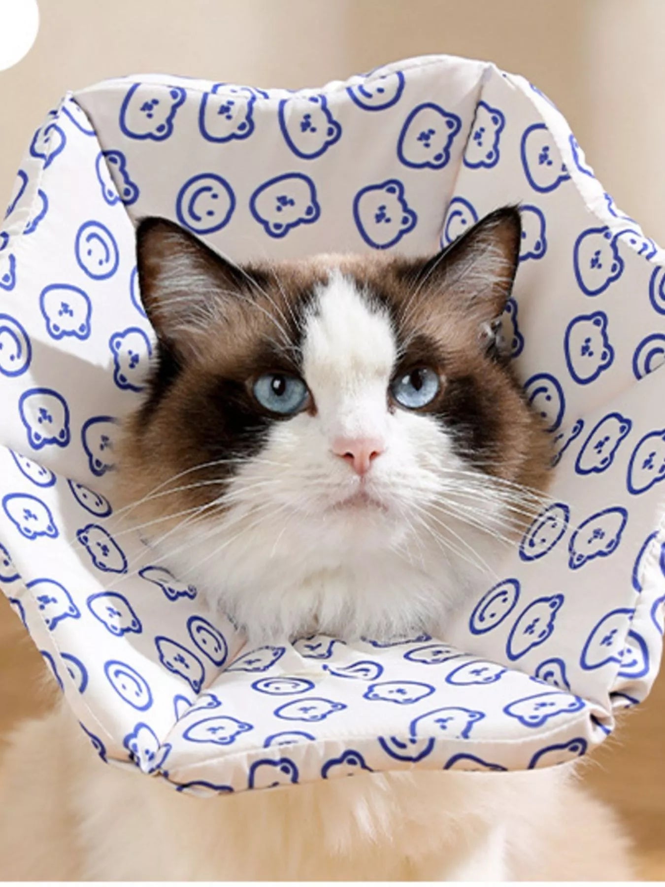 Cute cartoon pattern pet collar, adjustable everyday collar for dogs and cats