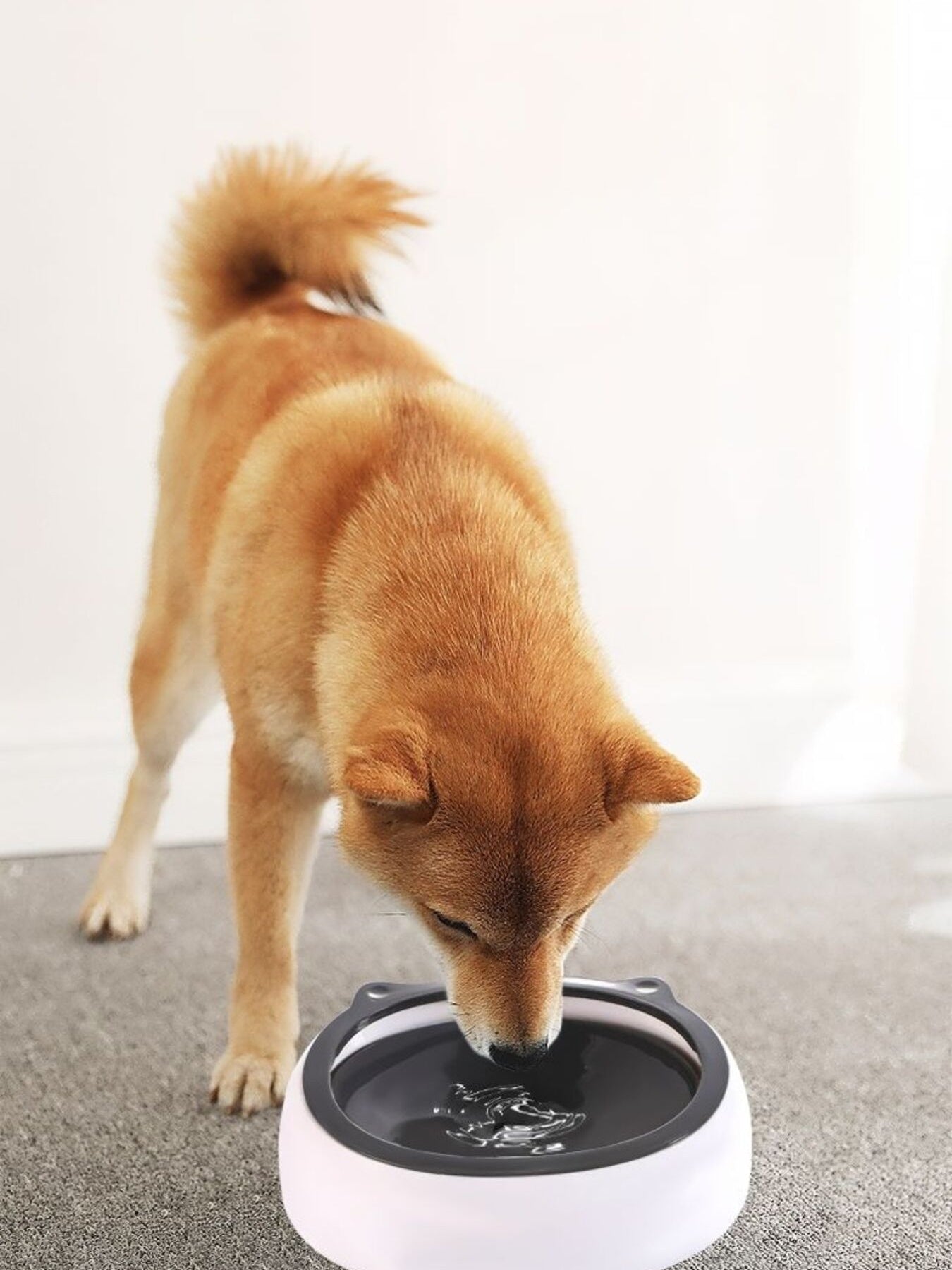 Cute Cat Ear ABS Pet Bowl – view 2