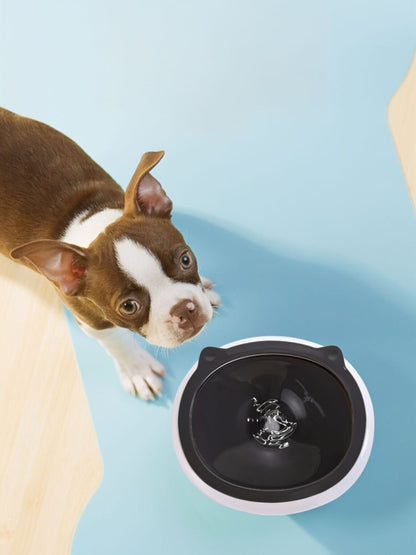 Cute Cat Ear ABS Pet Bowl – view 3