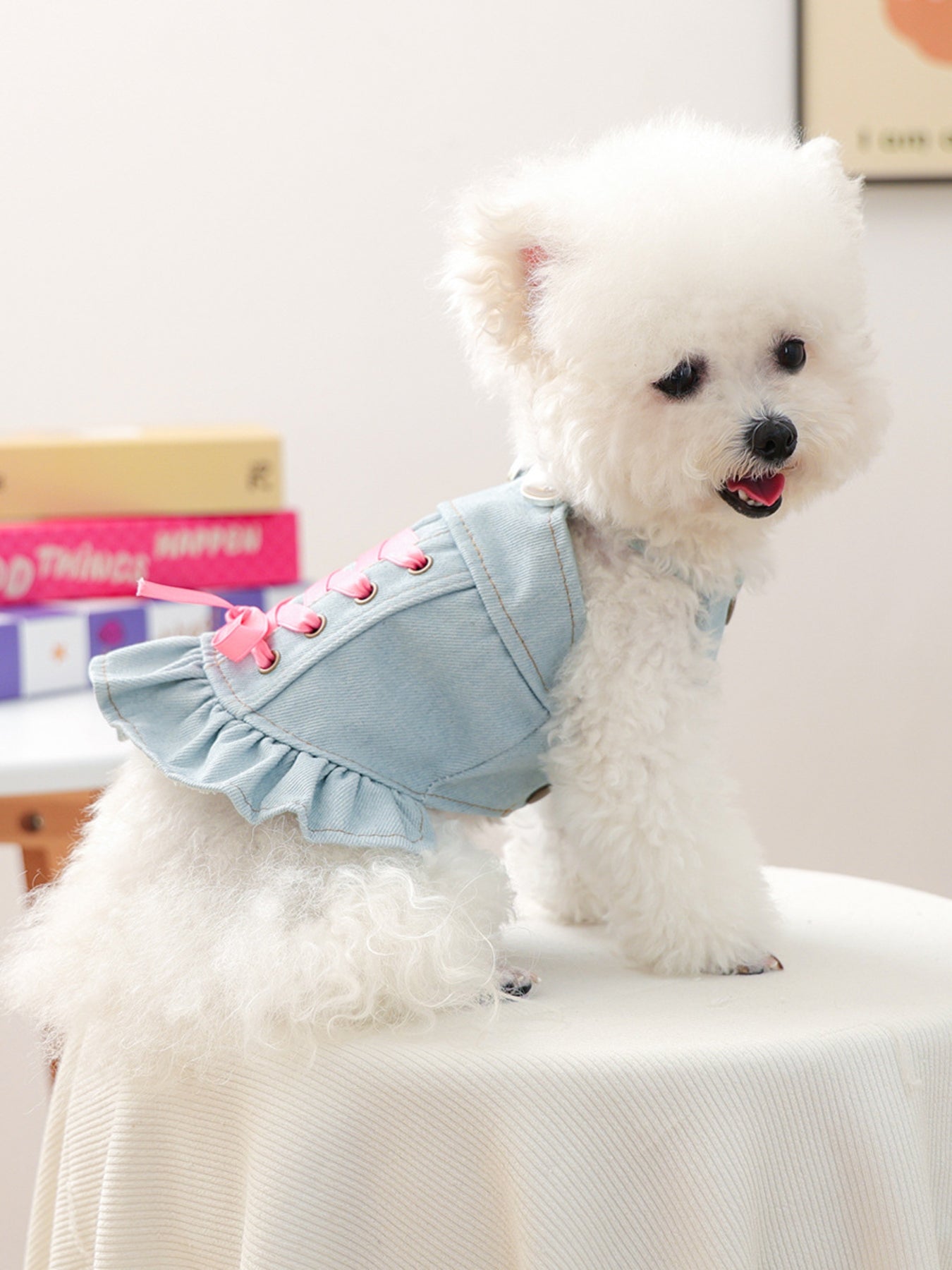Denim Lace-Up Ruffle Pet Dress – Bow-Accent Dog & Cat Fashion Dress – view 3