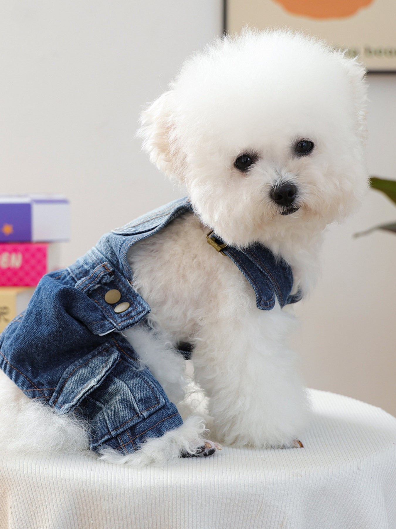 Denim Pet Overalls – Button-Up Pocketed Dog & Cat Jean Overalls – view 2