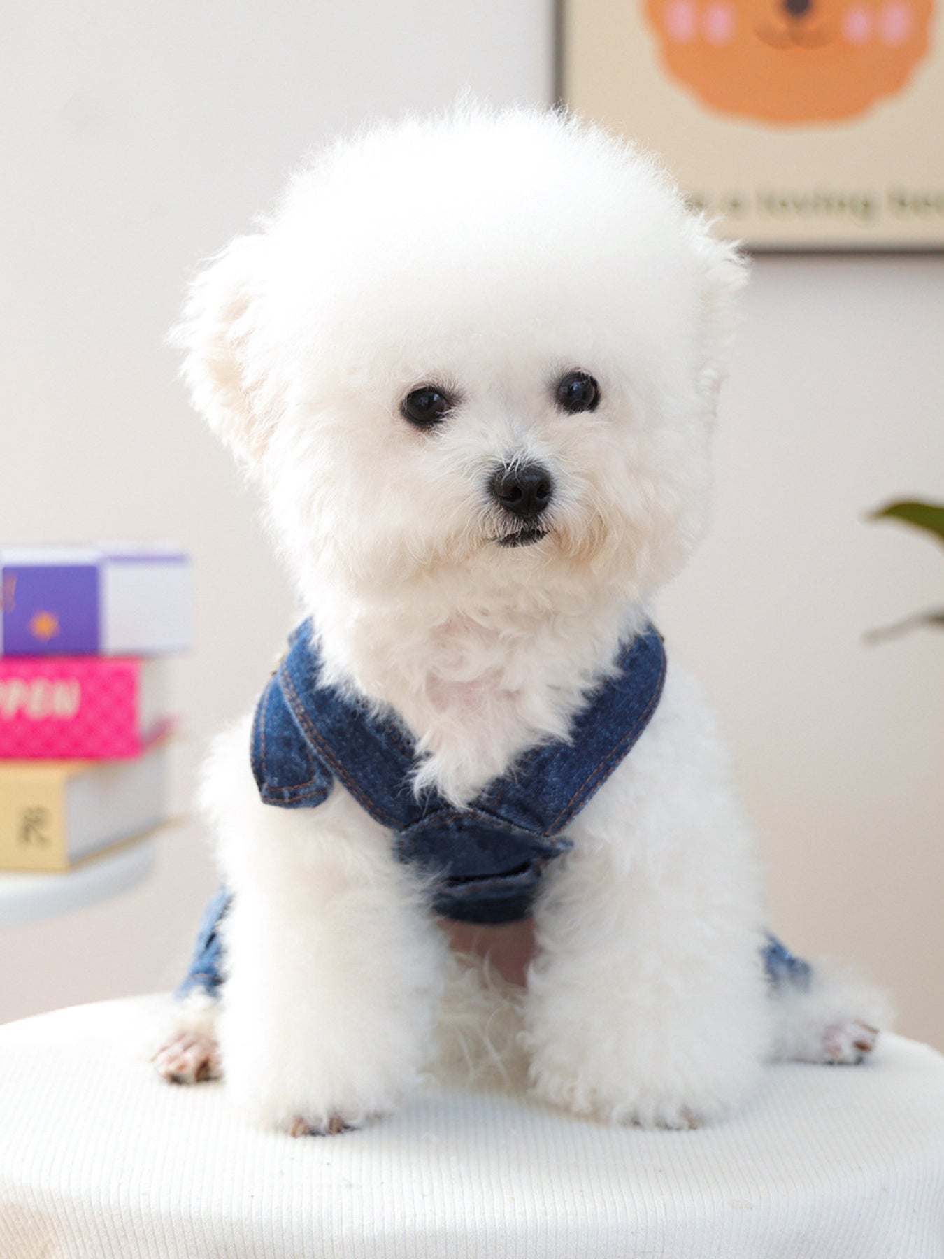Denim Pet Overalls – Button-Up Pocketed Dog & Cat Jean Overalls – view 3
