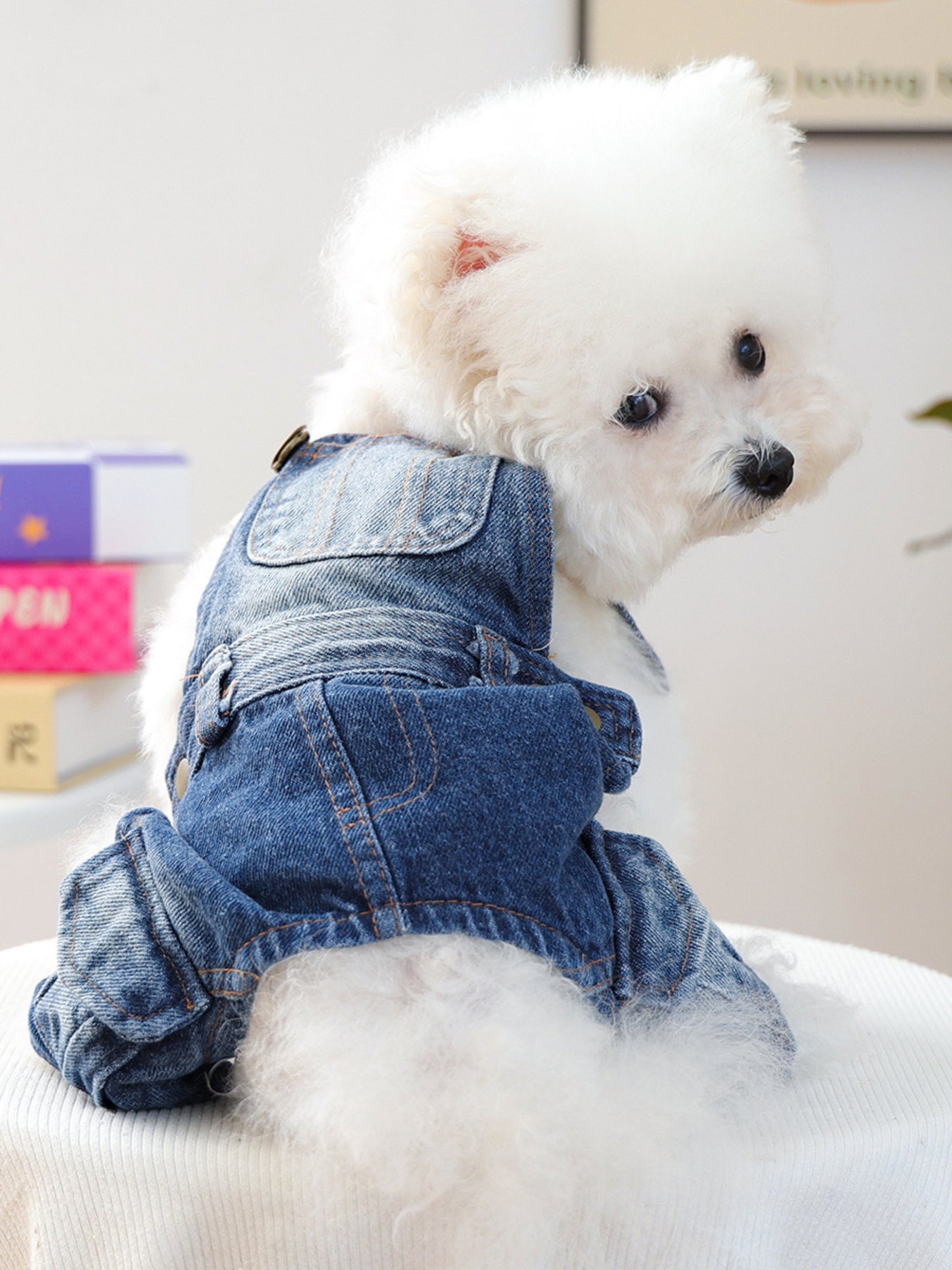 Denim pet overalls, button-up pocketed jean overalls for dogs and cats
