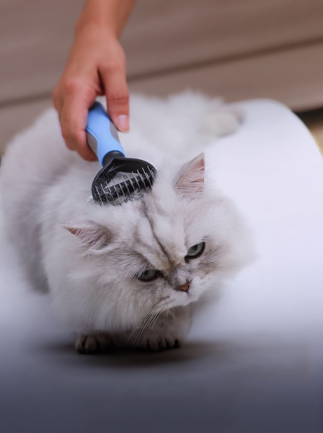 Deshedding Steel Pet Hair Removal Comb – Reduces Shedding Grooming Tool for Dogs & Cats – view 2