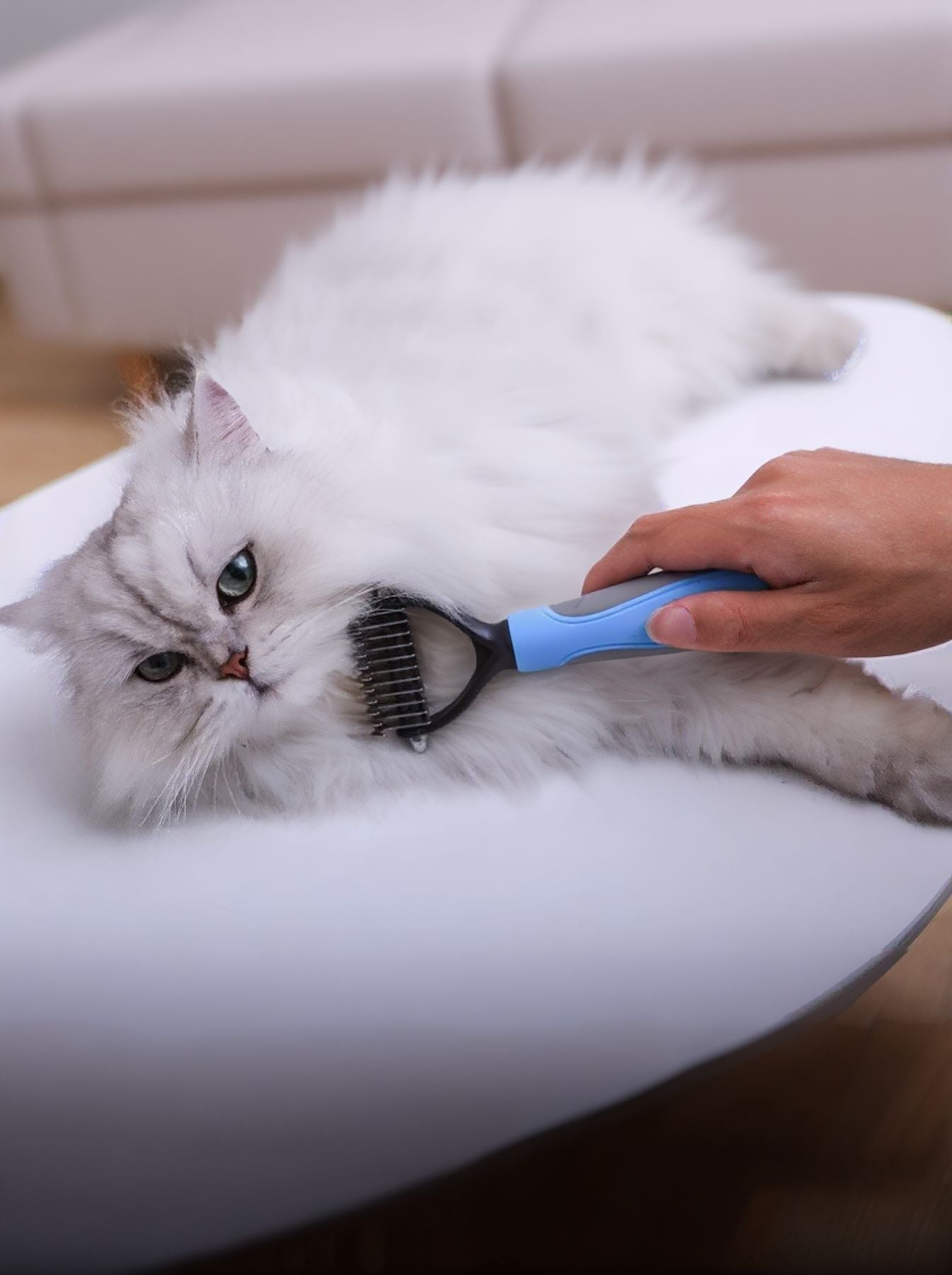 Deshedding steel pet hair removal grooming comb for dogs and cats