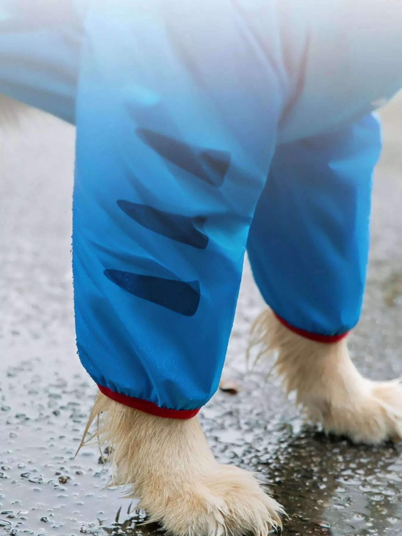 Dinosaur Style Waterproof Dog Raincoat with Hood – Large Dog Rain Jacket, 3XL–8XL – view 5