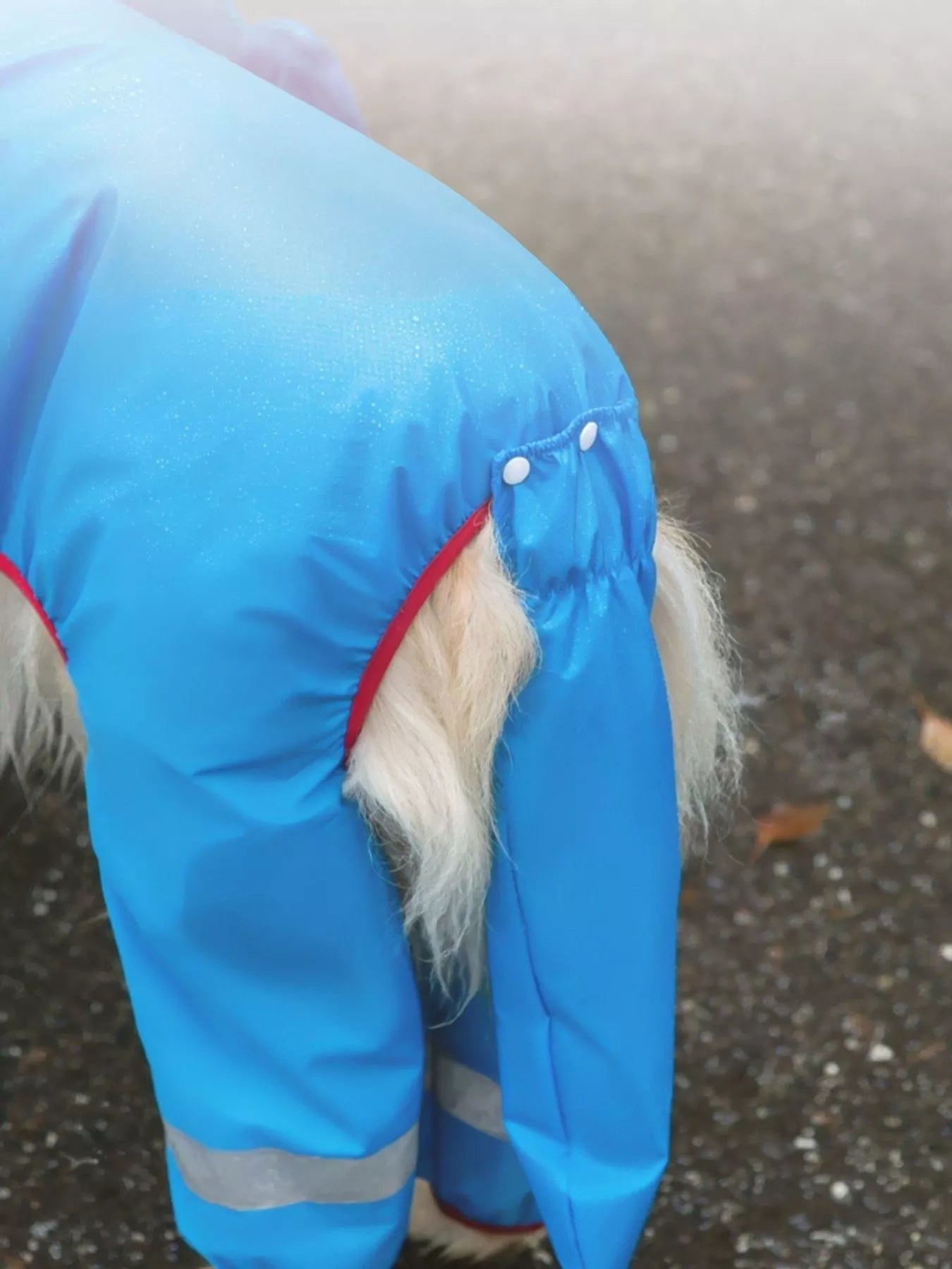 Dinosaur Style Waterproof Dog Raincoat with Hood – Large Dog Rain Jacket, 3XL–8XL – view 7