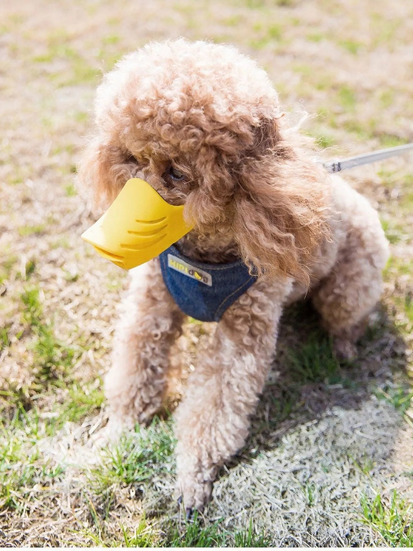 Duck-Bill Silicone Dog Muzzle – Soft Breathable Safety Muzzle for Dogs – view 2
