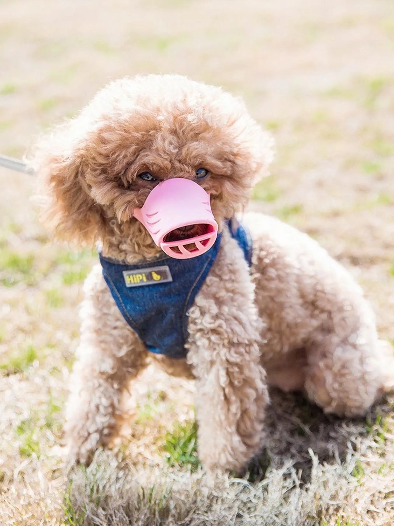 Duck-Bill Silicone Dog Muzzle – Soft Breathable Safety Muzzle for Dogs – view 6