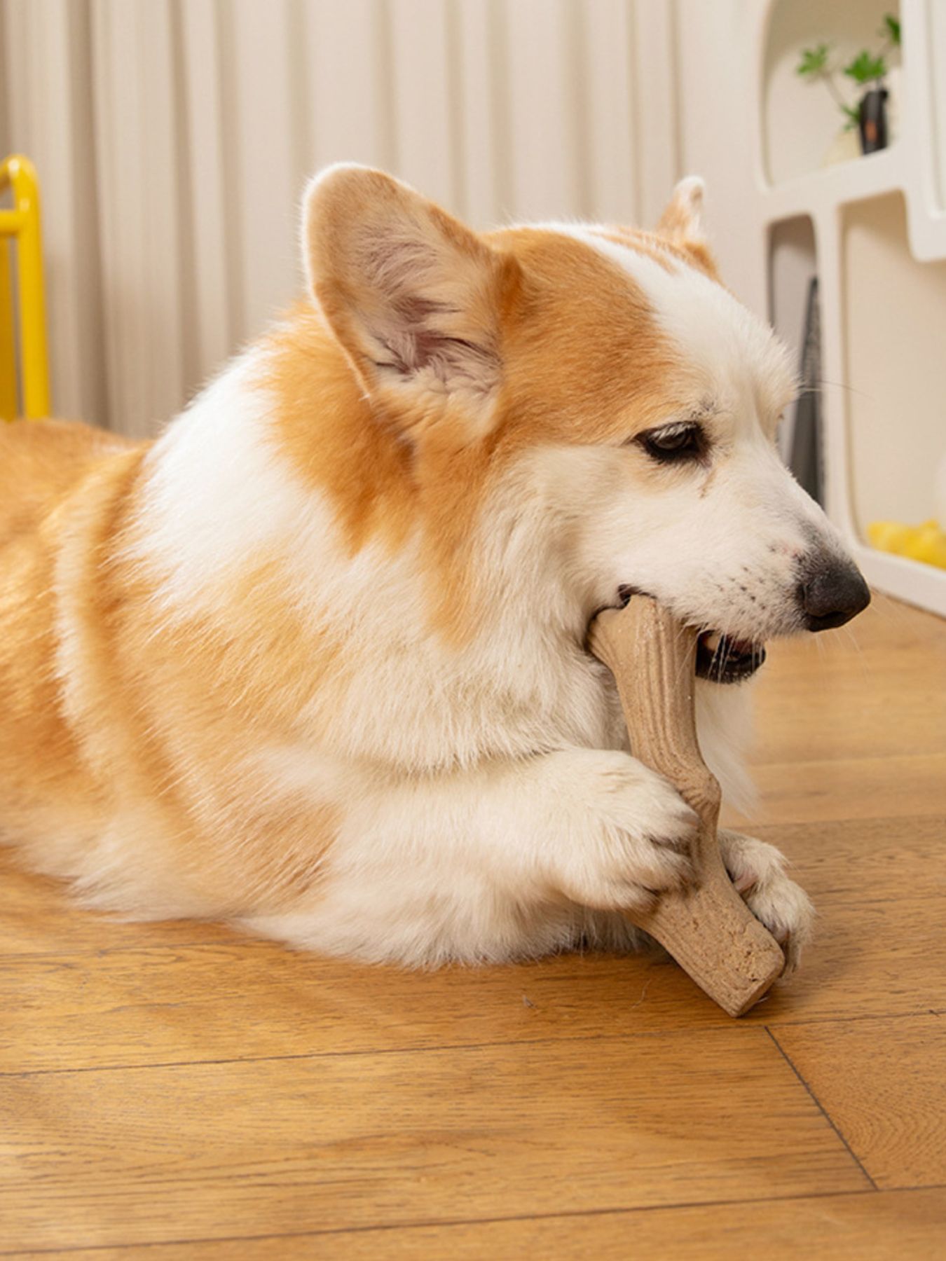 Durable Antler-Shaped Dog Chew Toy – Wheat Material Teething & Dental Chew – view 2