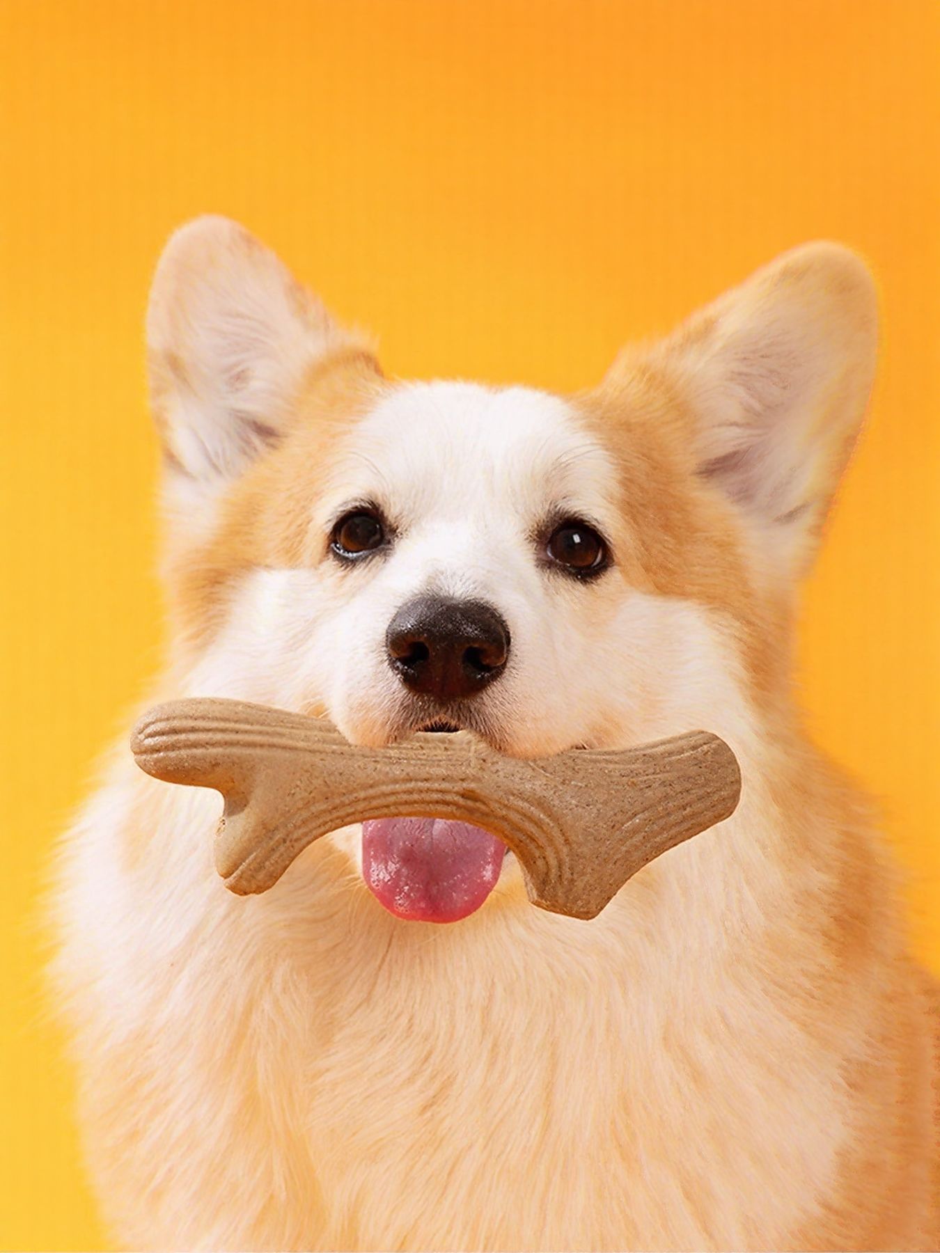 Durable Antler-Shaped Dog Chew Toy – Wheat Material Teething & Dental Chew – view 4