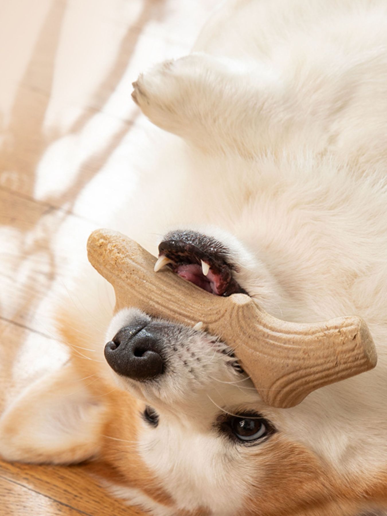 Durable Antler-Shaped Dog Chew Toy – Wheat Material Teething & Dental Chew – view 6