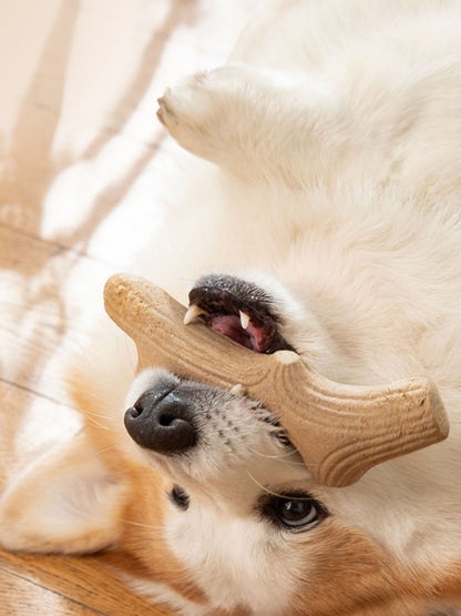 Durable Antler-Shaped Dog Chew Toy – Wheat Material Teething & Dental Chew – view 6