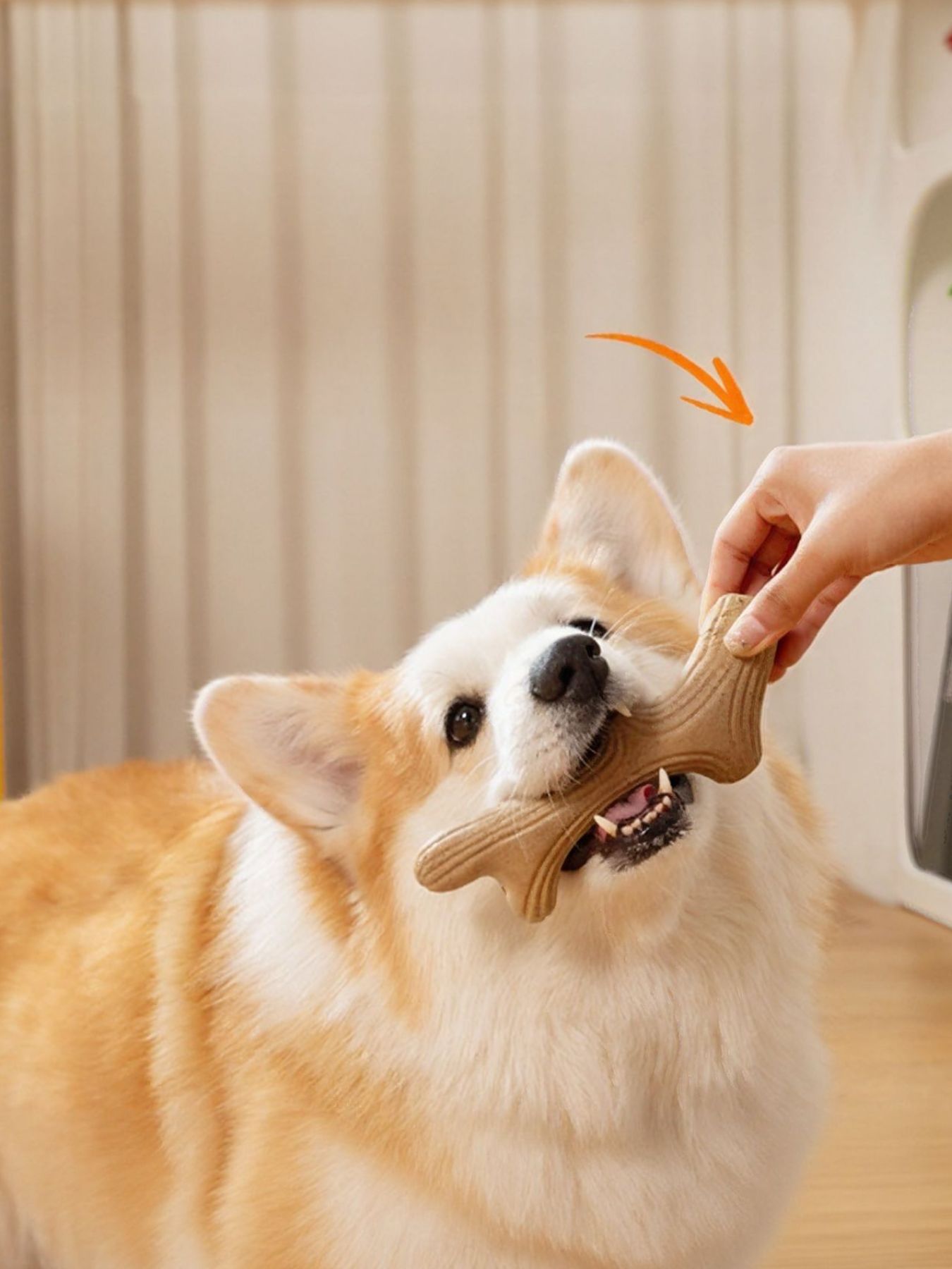 Durable Antler-Shaped Dog Chew Toy – Wheat Material Teething & Dental Chew – view 8