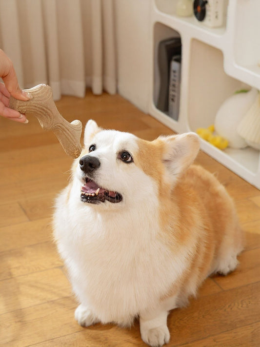 Durable antler-shaped wheat dog chew toy for teething and dental care