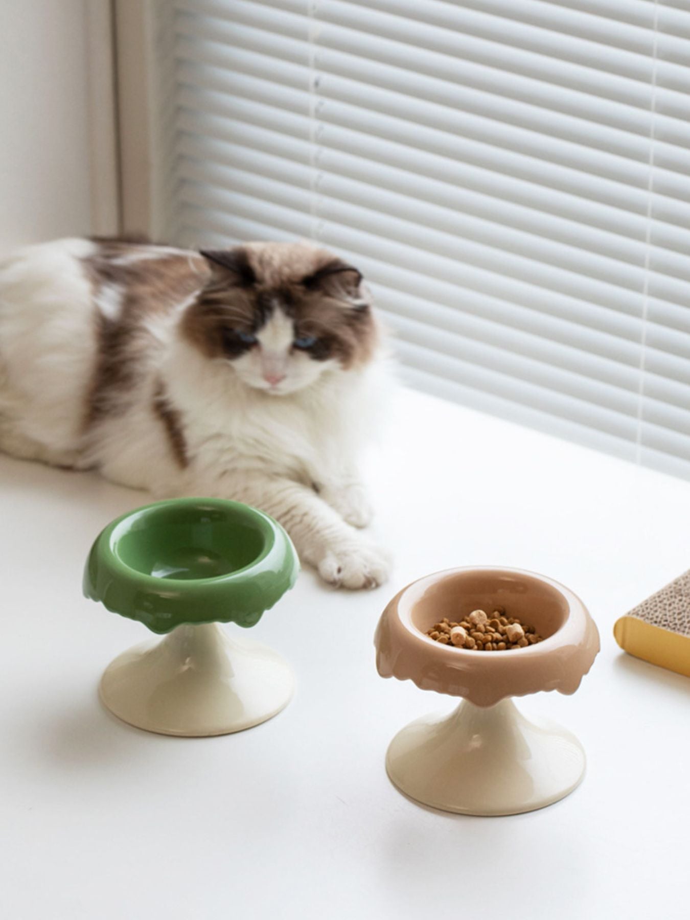 Elevated Ceramic Pet Bowl – Raised Food & Water Bowl for Dogs & Cats – view 2