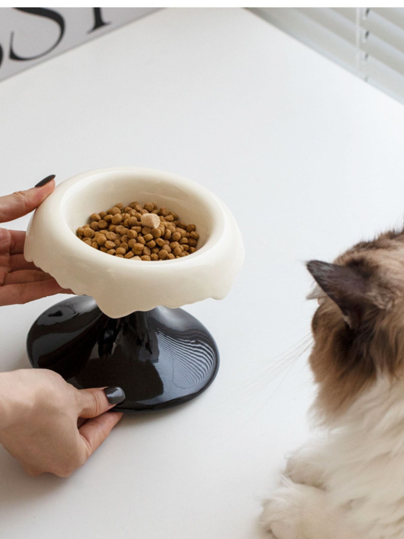 Elevated Ceramic Pet Bowl – Raised Food & Water Bowl for Dogs & Cats – view 6