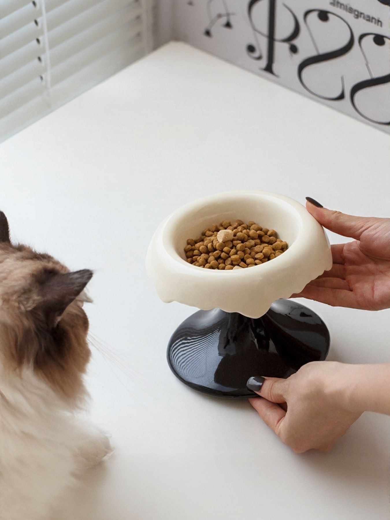 Elevated Ceramic Pet Bowl – Raised Food & Water Bowl for Dogs & Cats – view 7