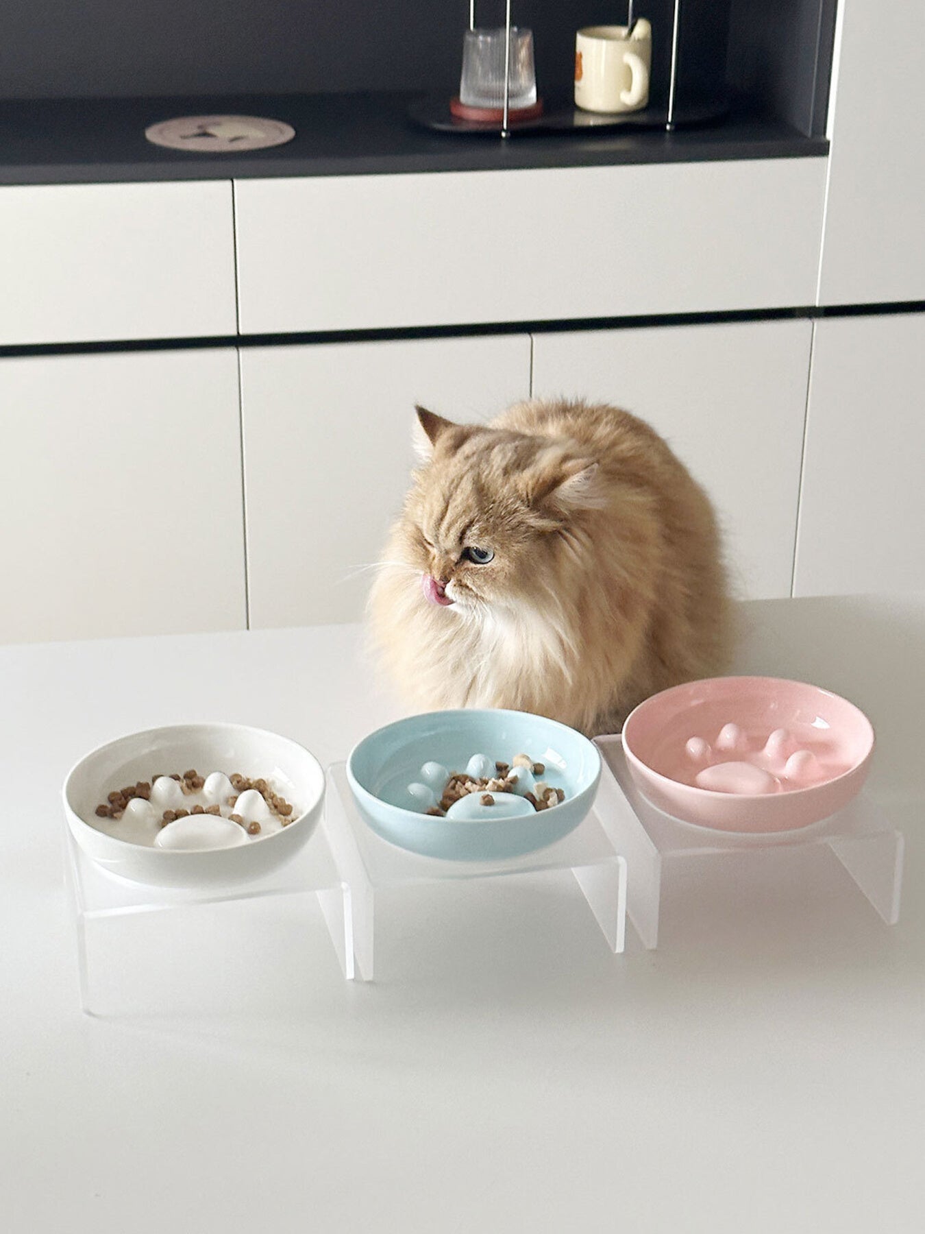 Elevated Plastic Slow Feeder Pet Bowl – view 2