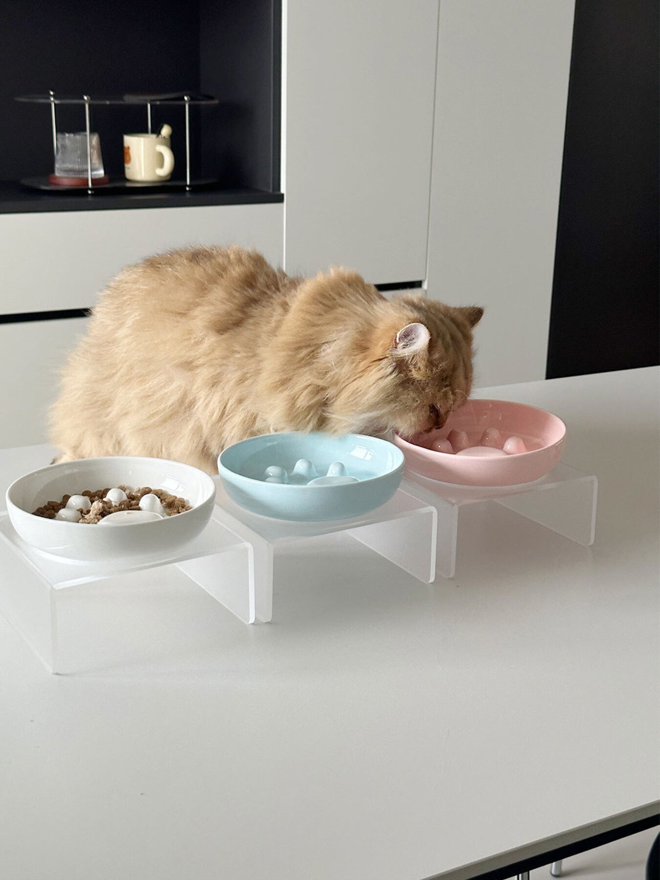 Elevated plastic slow feeder pet bowl for dogs and cats