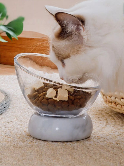 Elevated Tilted Non-Slip Clear Glass Pet Bowl – view 2