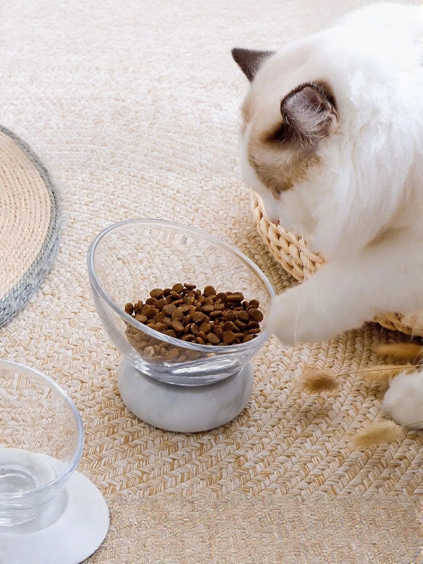 Elevated tilted non-slip clear glass pet bowl for dogs and cats