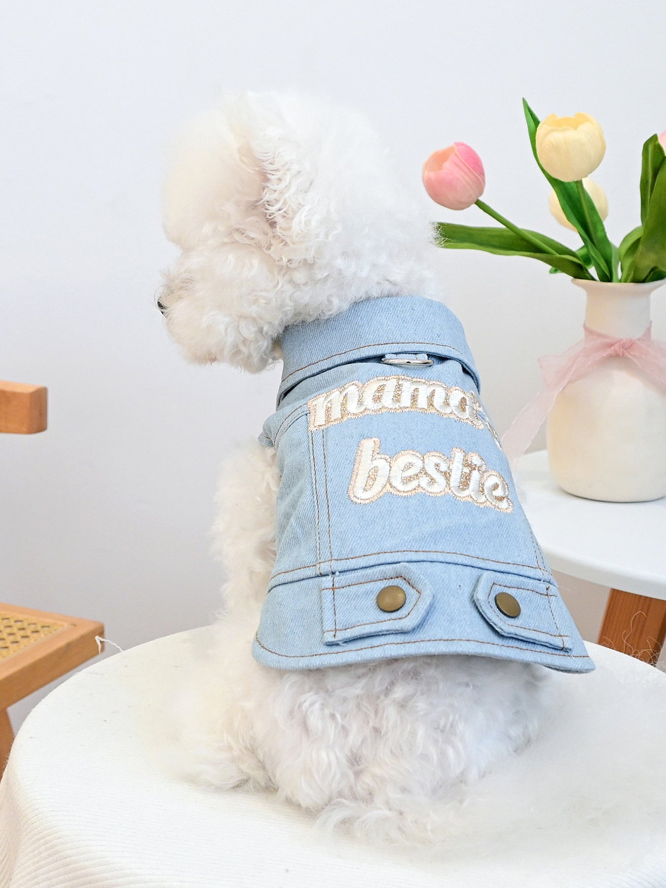 Embroidered denim pet jacket with bow, button-up jean jacket for dogs and cats