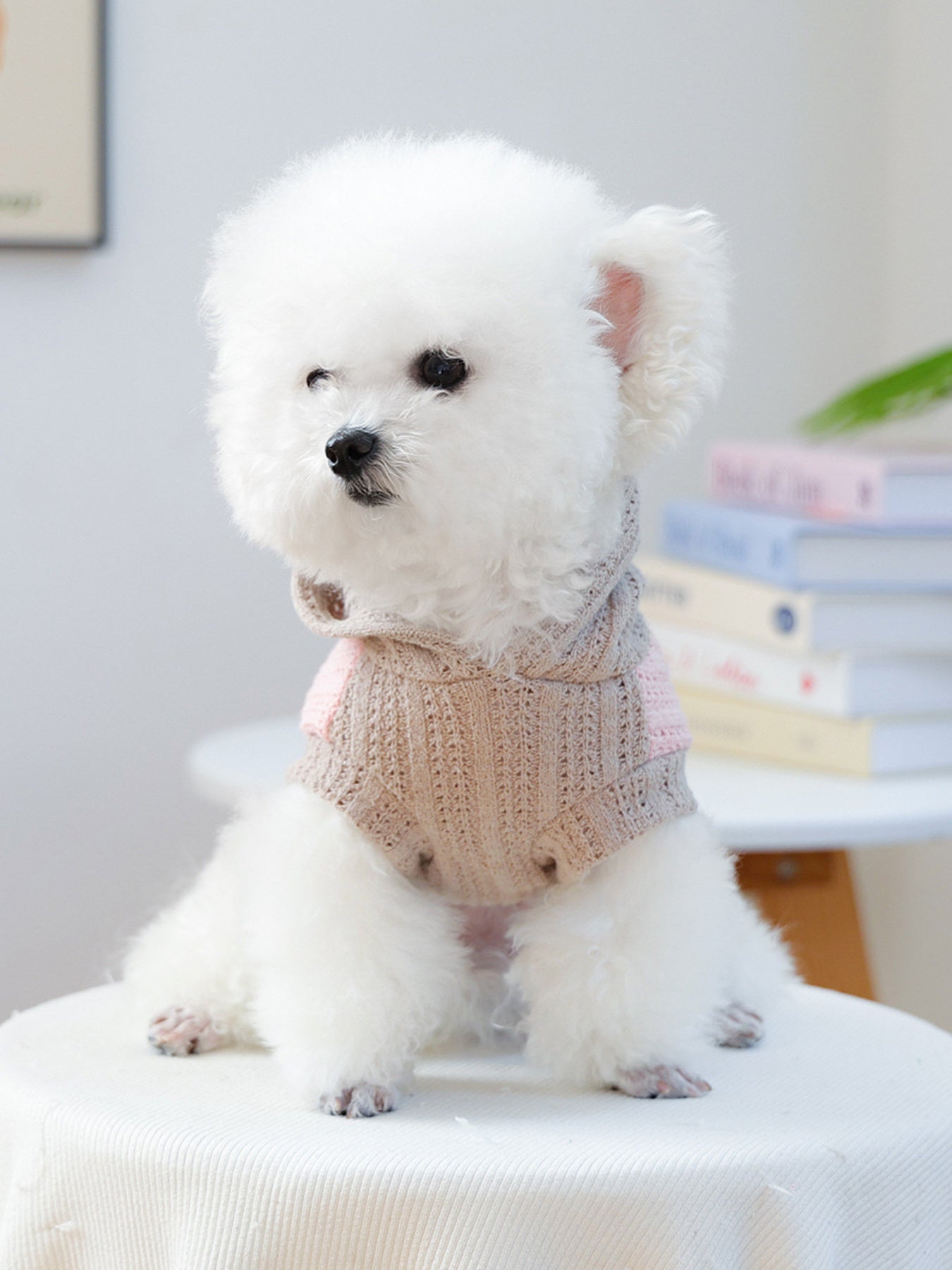 Flower Applique Knitted Pet Hoodie – Openwork Dog & Cat Hooded Sweater – view 12