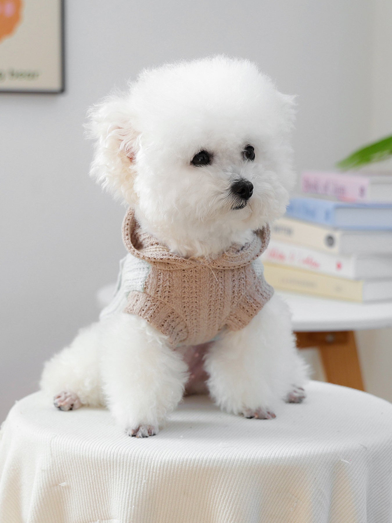 Flower Applique Knitted Pet Hoodie – Openwork Dog & Cat Hooded Sweater – view 13