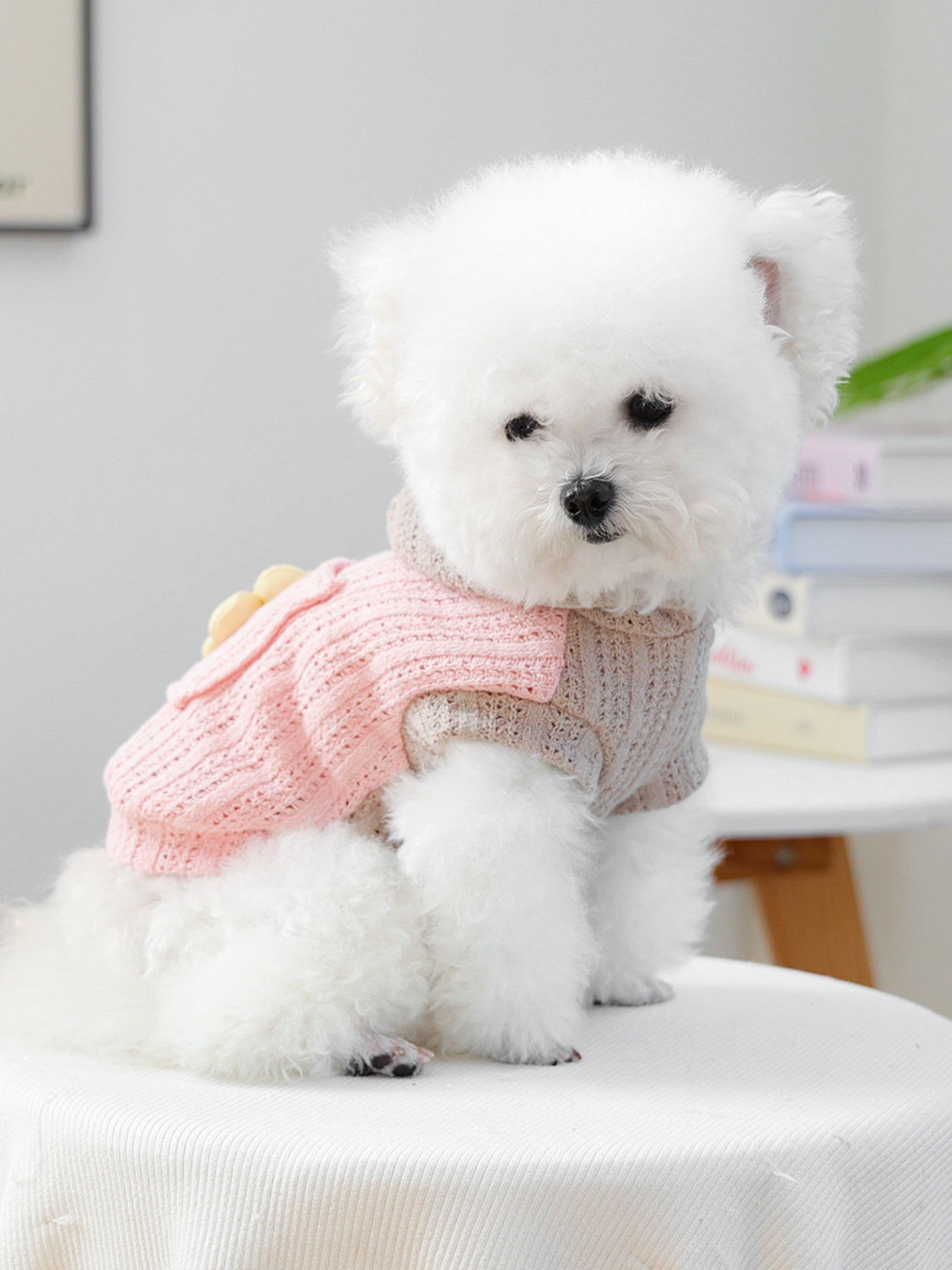 Flower Applique Knitted Pet Hoodie – Openwork Dog & Cat Hooded Sweater – view 2