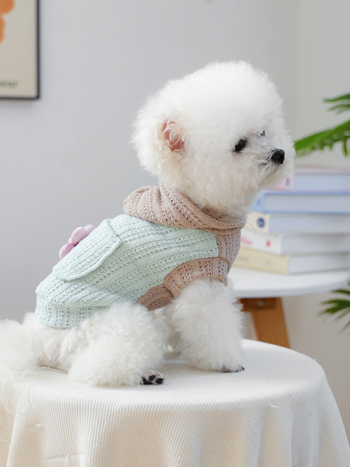 Flower Applique Knitted Pet Hoodie – Openwork Dog & Cat Hooded Sweater – view 7