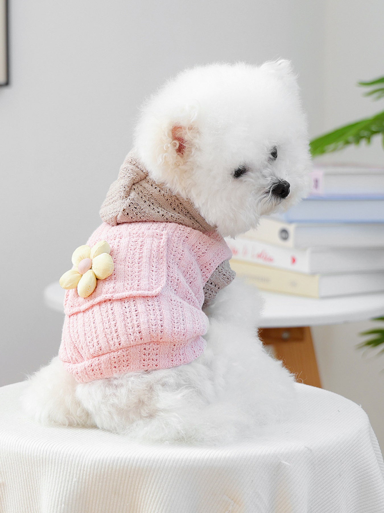 Flower applique knitted pet hoodie, openwork hooded sweater for dogs and cats