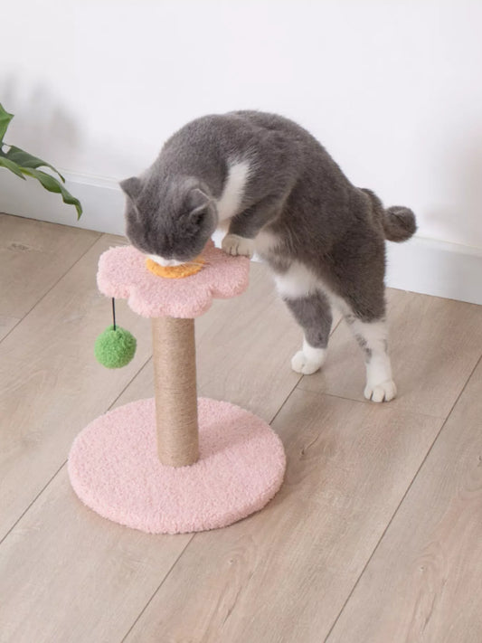 Flower-shaped plastic cat scratching post with plush base, novelty scratcher for cats