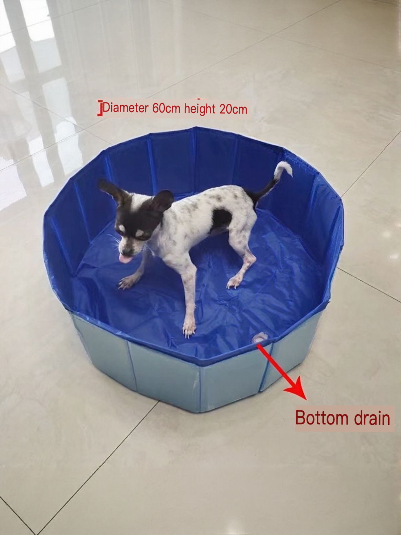 Foldable Plastic Pet Bath Pool with Side Drain – view 3