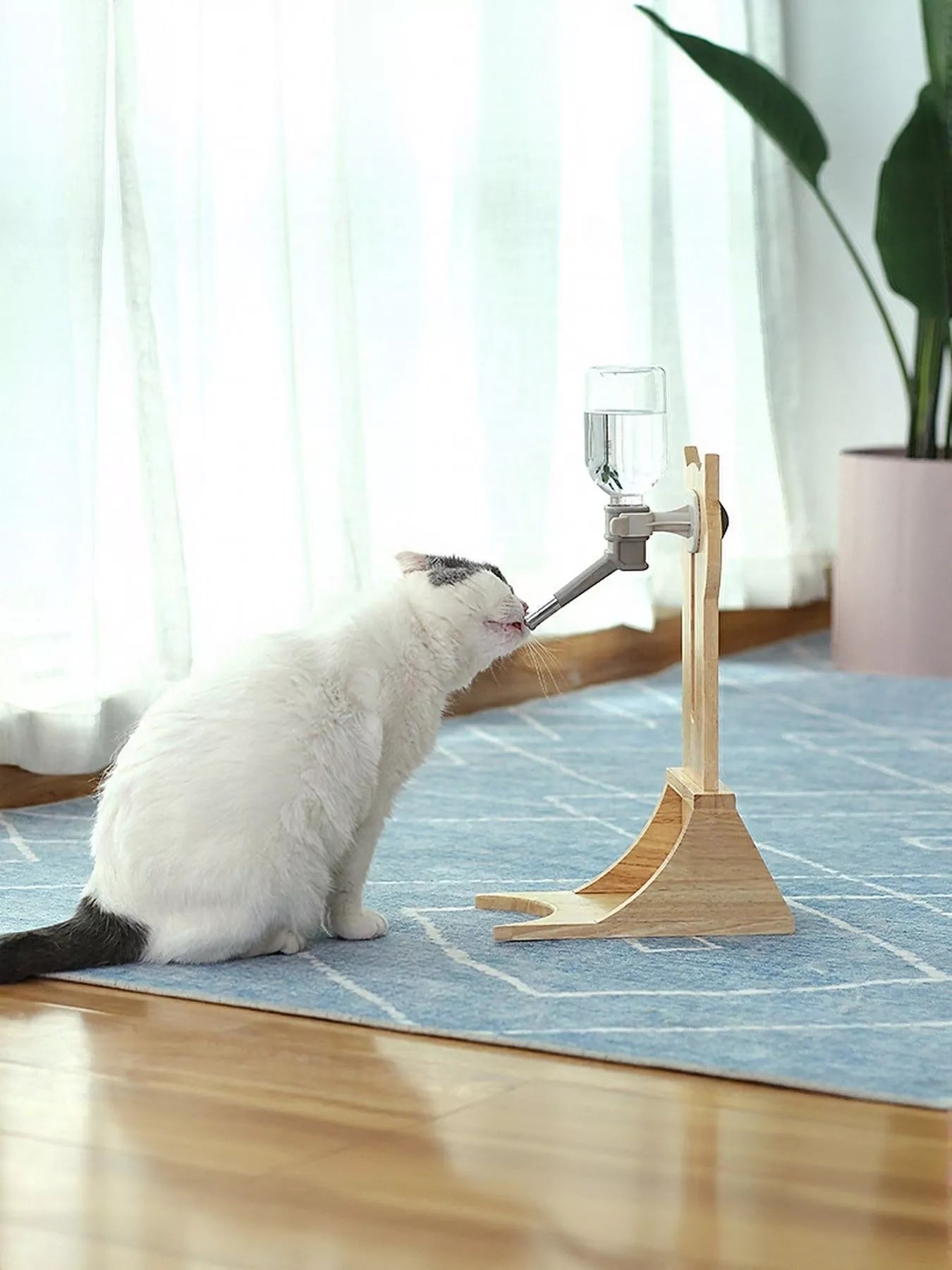 Gravity-fed wooden pet water dispenser for dogs and cats