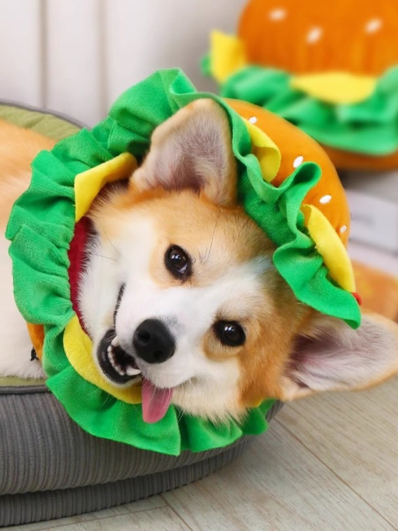 Hamburger Novelty Pet Hat – Funny Polyester Costume Headwear for Dogs & Cats – view 5
