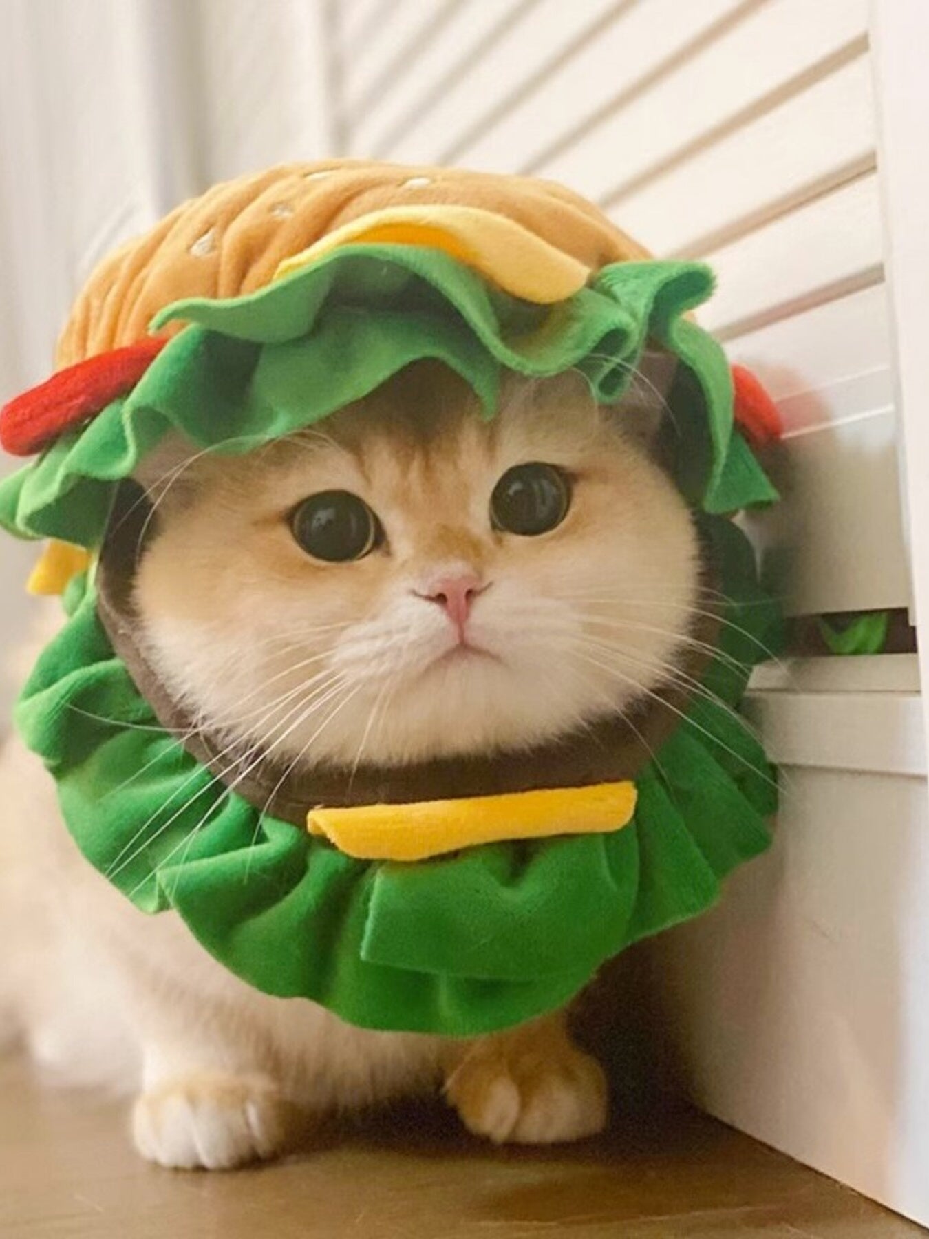 Hamburger novelty pet hat, funny polyester costume headwear for dogs and cats