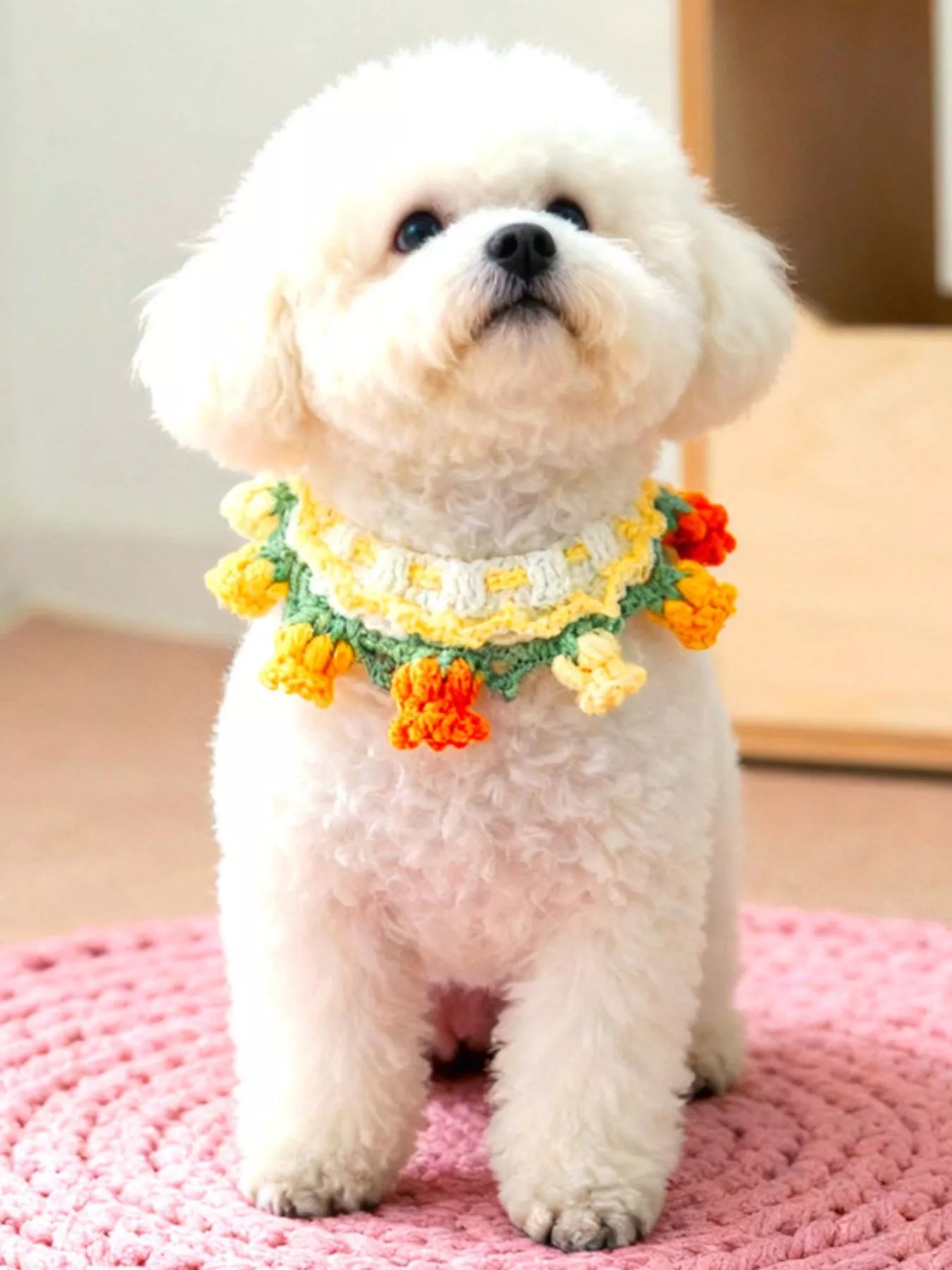 Handmade Crochet Floral Pet Scarf – Boho Neck Scarf for Dogs & Cats, S–XL – view 3