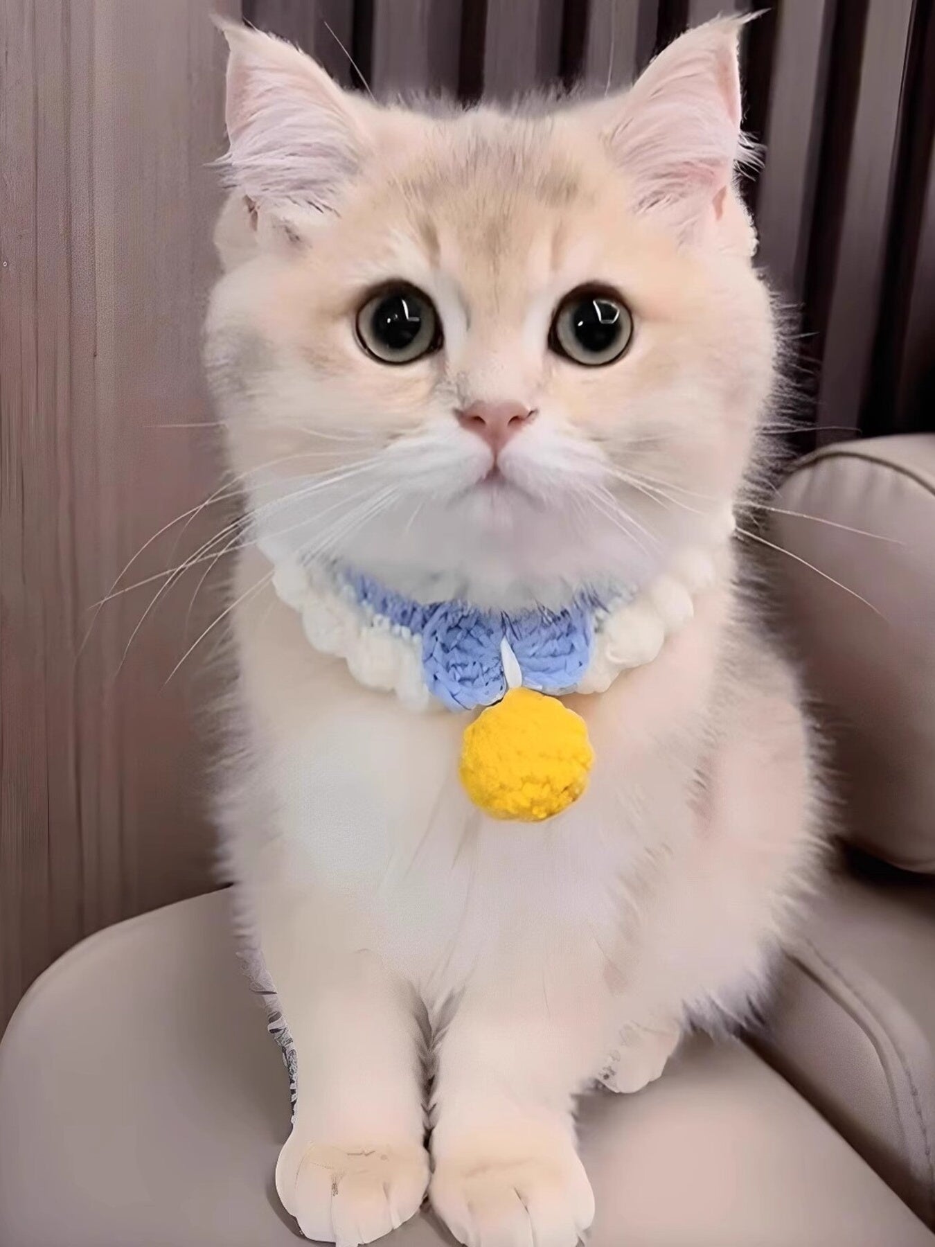 Handmade Crochet Pet Collar with Bell – Decorative Polyester Collar for Dogs & Cats – view 2