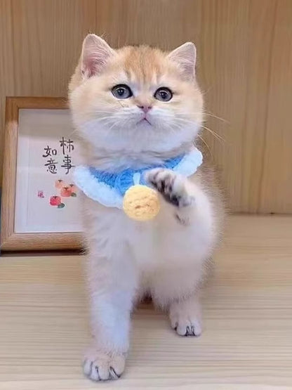 Handmade Crochet Pet Collar with Bell – Decorative Polyester Collar for Dogs & Cats – view 5