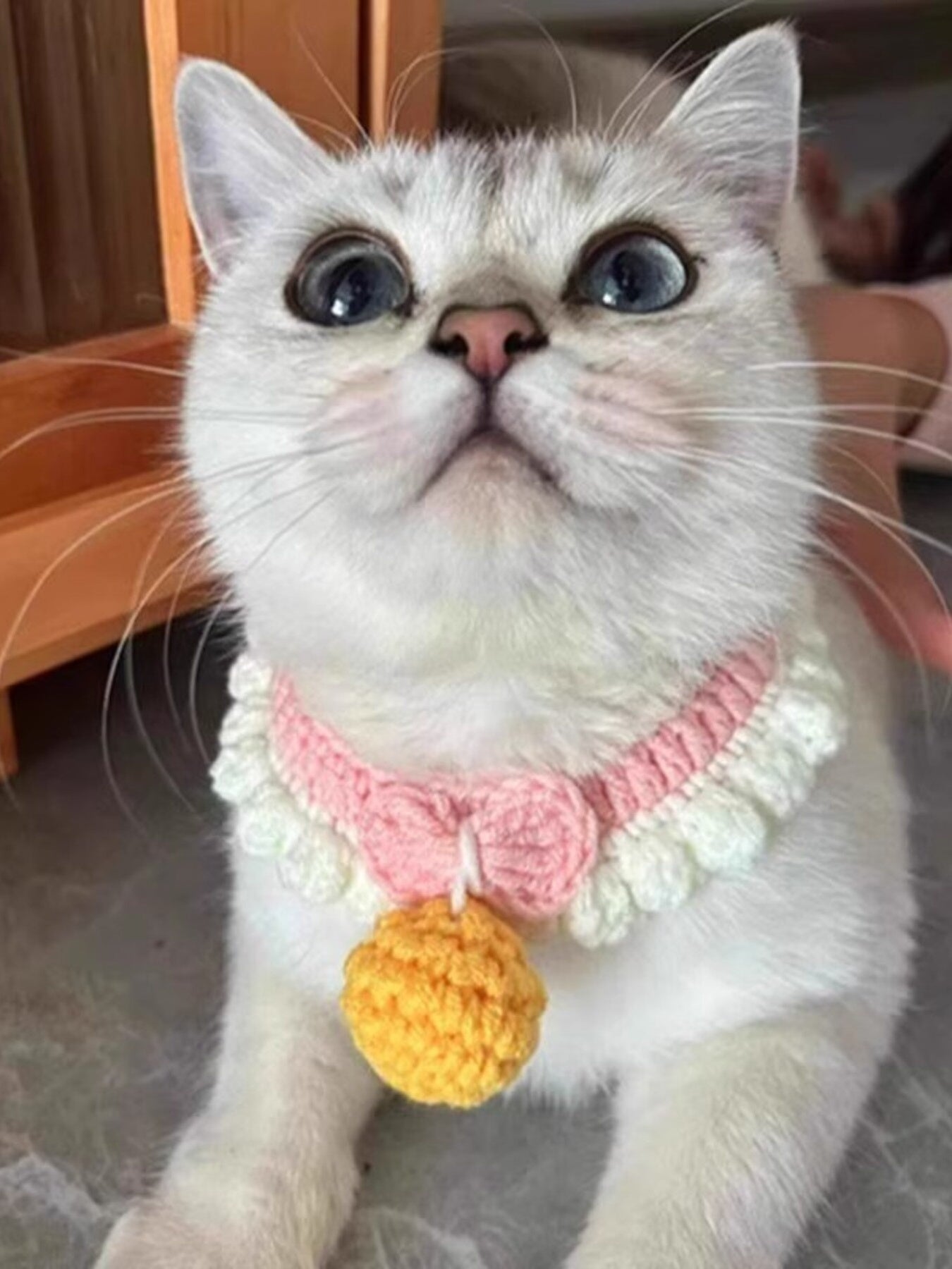 Handmade Crochet Pet Collar with Bell – Decorative Polyester Collar for Dogs & Cats – view 7