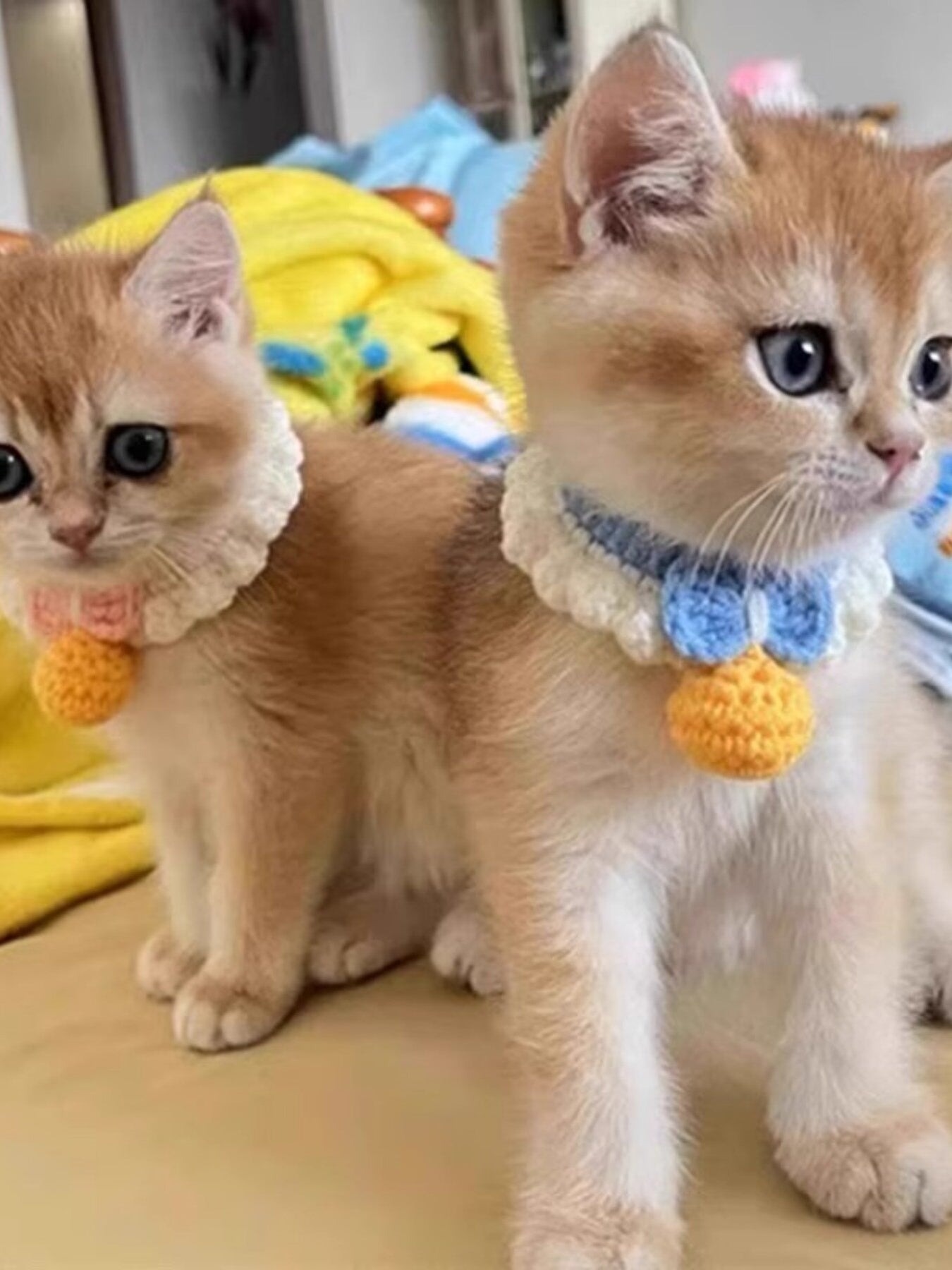Handmade crochet pet collar with bell, decorative polyester collar for dogs and cats