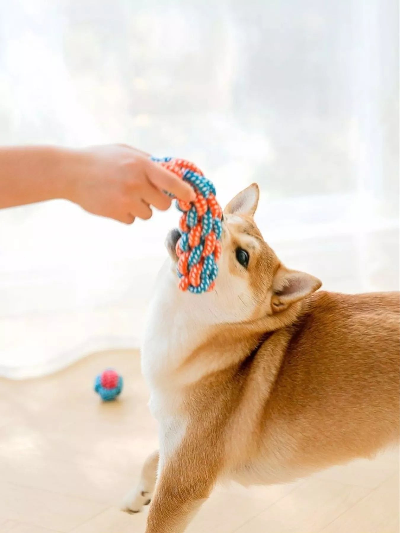Interactive Cotton Rope Knot Pet Toy – Durable Tug & Chew Toy for Dogs & Cats – view 3