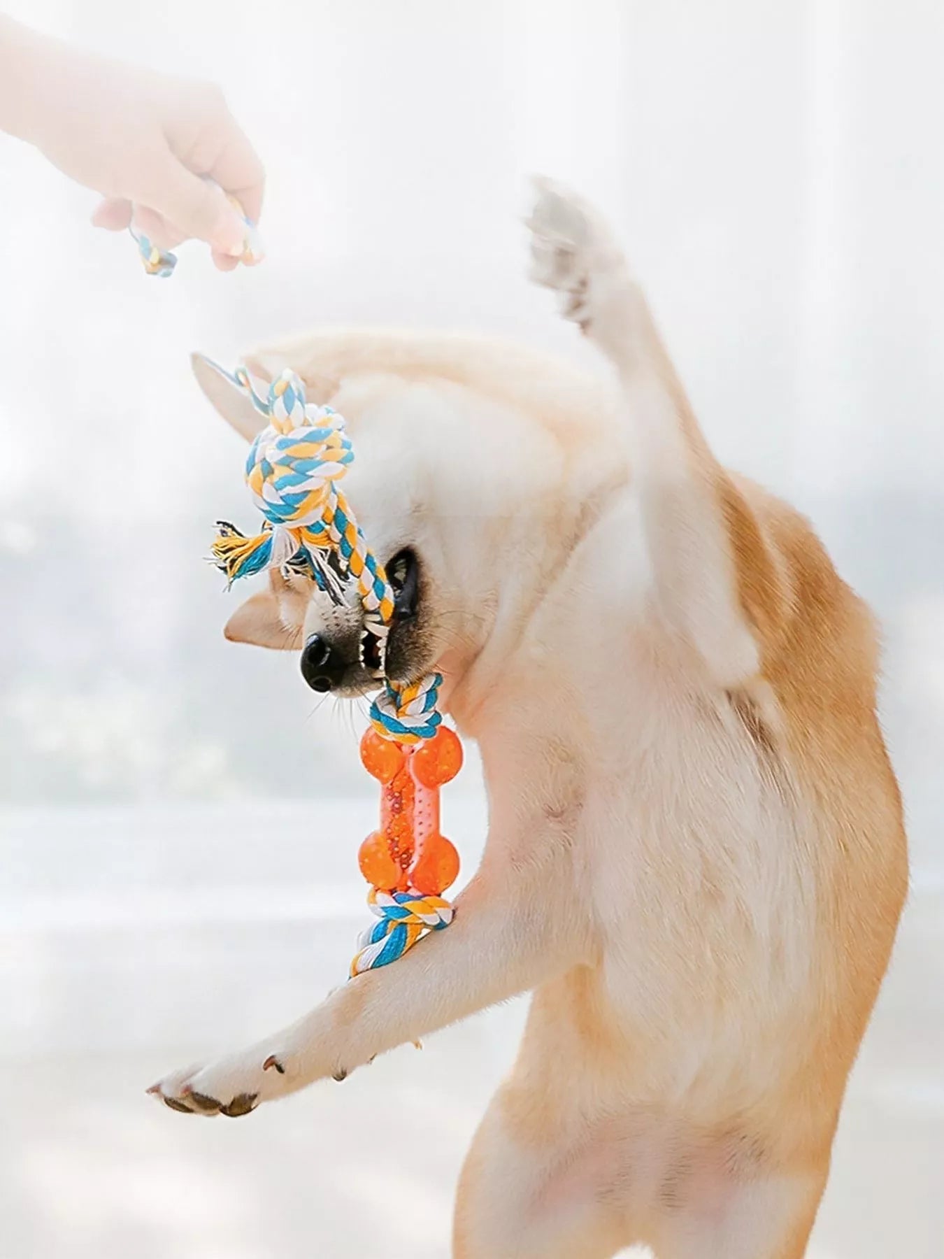 Interactive Cotton Rope Knot Pet Toy – Durable Tug & Chew Toy for Dogs & Cats – view 5
