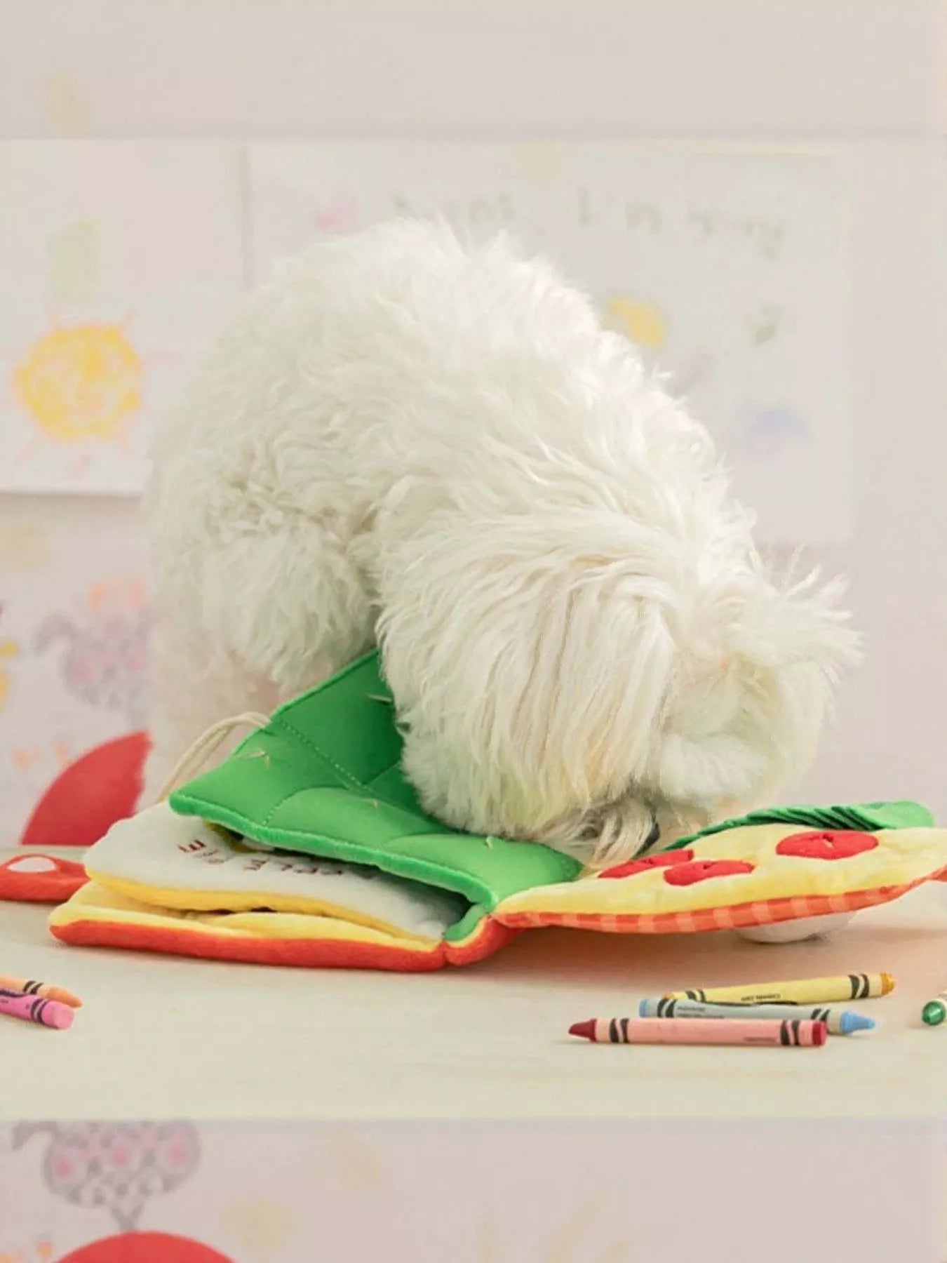 Interactive Crinkle Sound Book Pet Toy – view 7