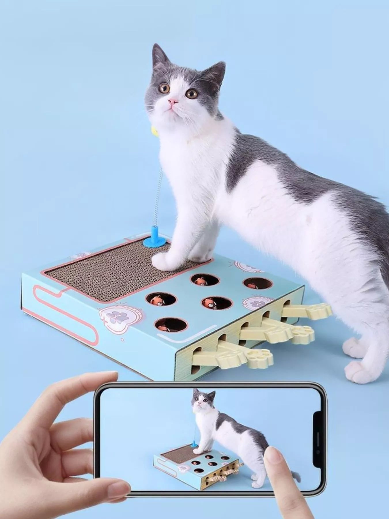 Interactive Whack-A-Mole Cat Toy Box – Corrugated Paper Puzzle Toy for Cats – view 10
