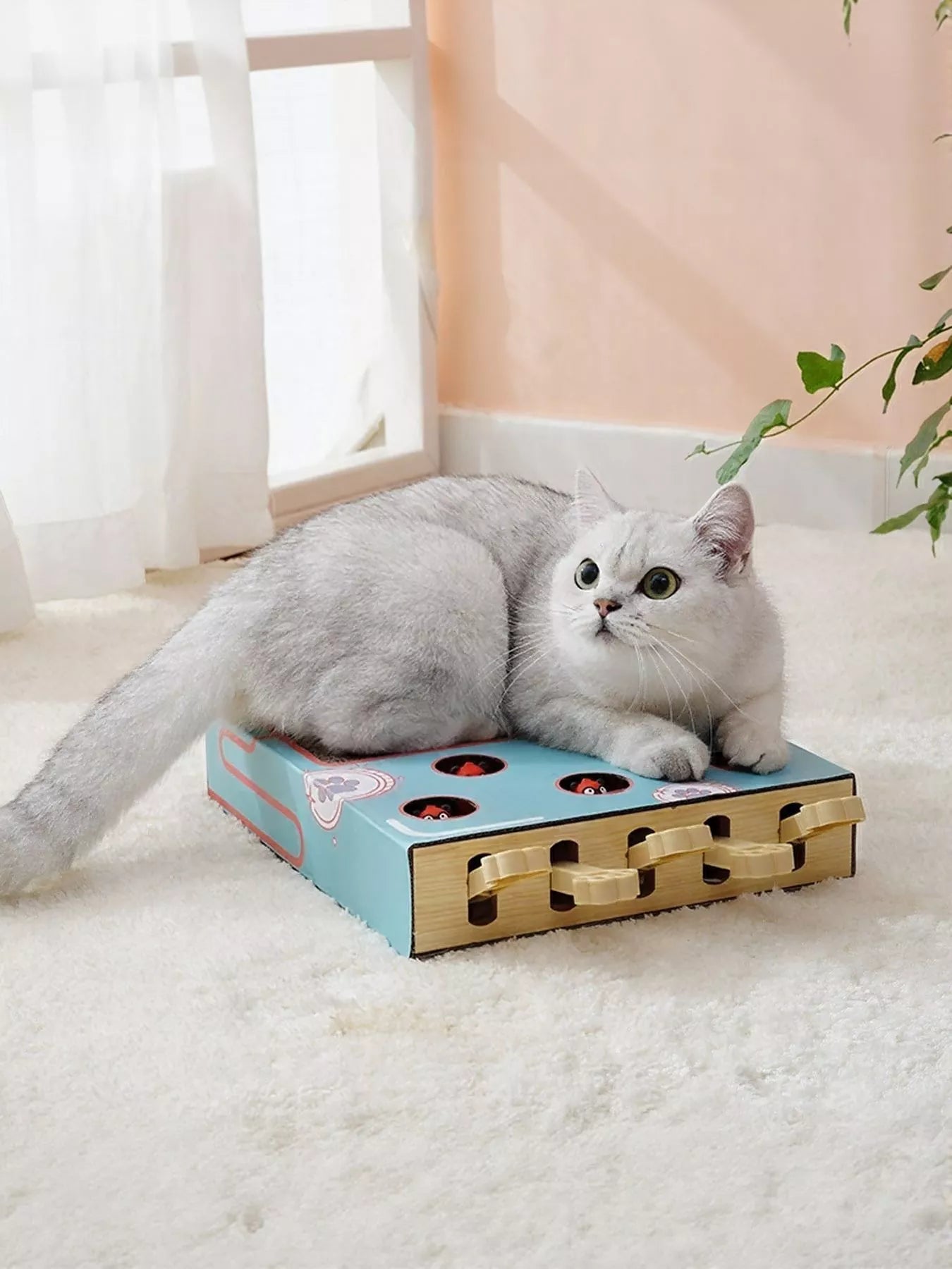 Interactive Whack-A-Mole Cat Toy Box – Corrugated Paper Puzzle Toy for Cats – view 4