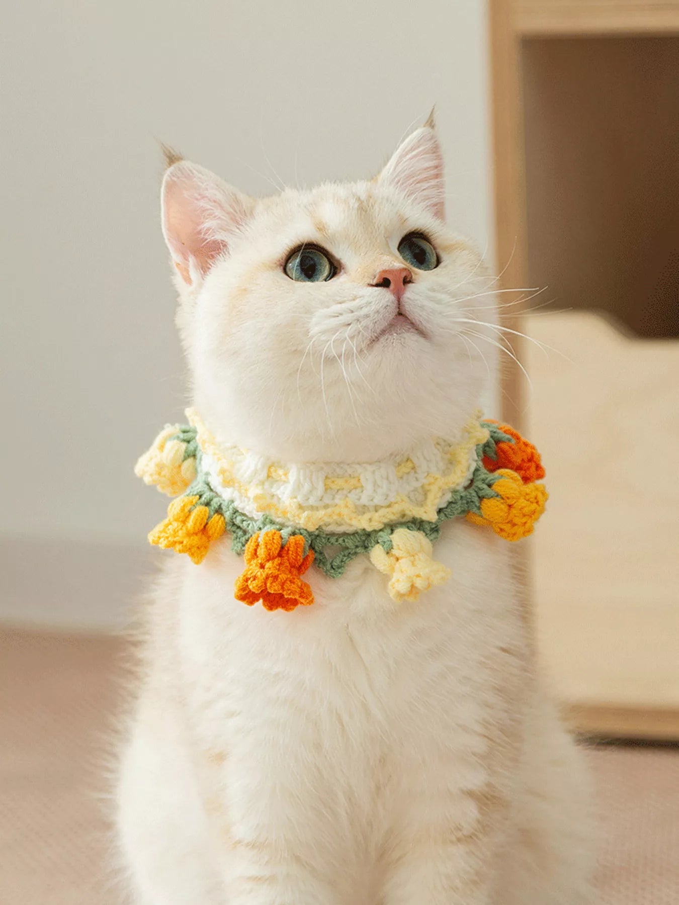 Knitted Floral Decorative Pet Collar – Soft Polyester Neck Collar for Dogs & Cats – view 9
