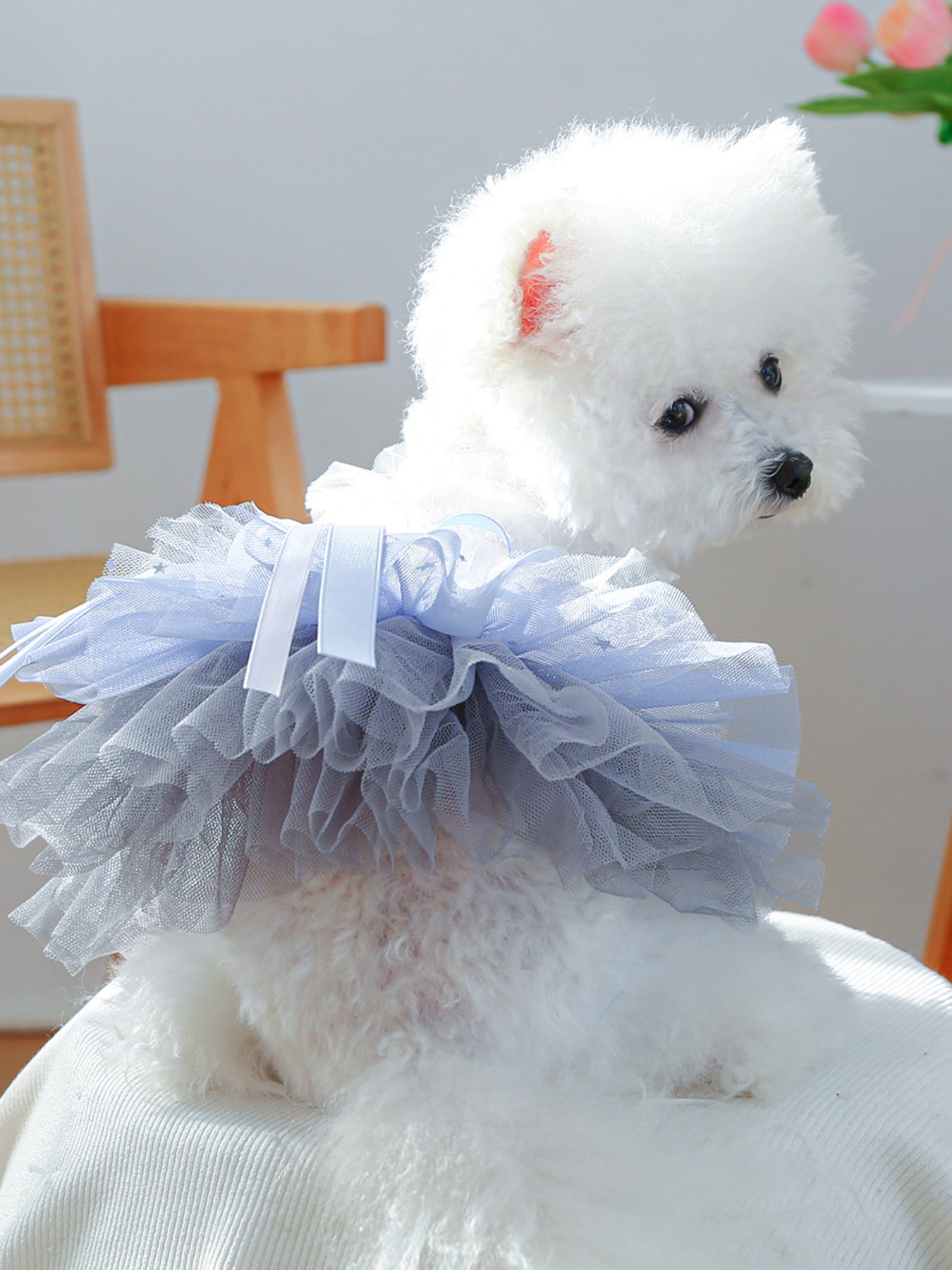 Lace Tutu Layered Pet Dress with Bow – Polyester Party Dress for Dogs & Cats – view 2