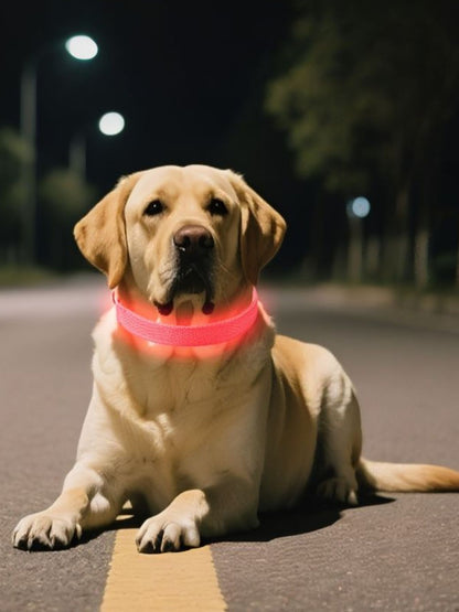 LED Glowing Pet Collar for Night Safety – Rechargeable Light-Up Dog & Cat Collar – view 4